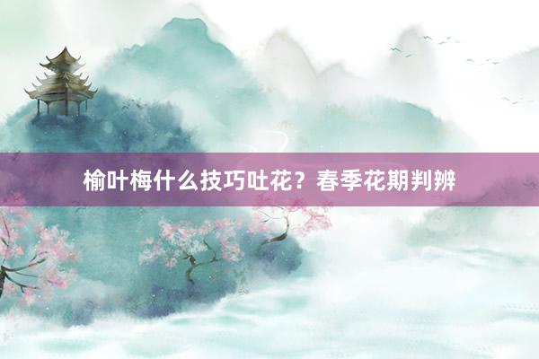 榆叶梅什么技巧吐花？春季花期判辨